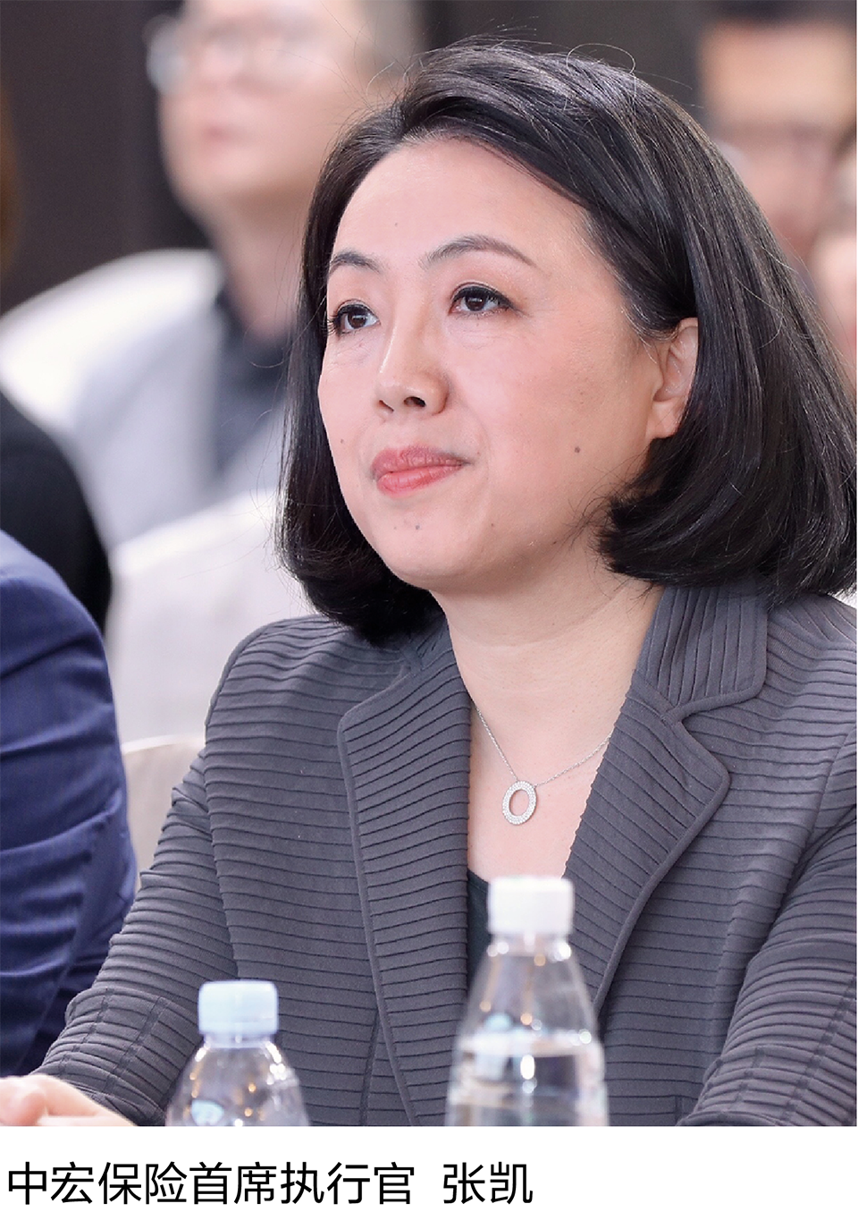 12-2 中宏保险首席执行官  张凯