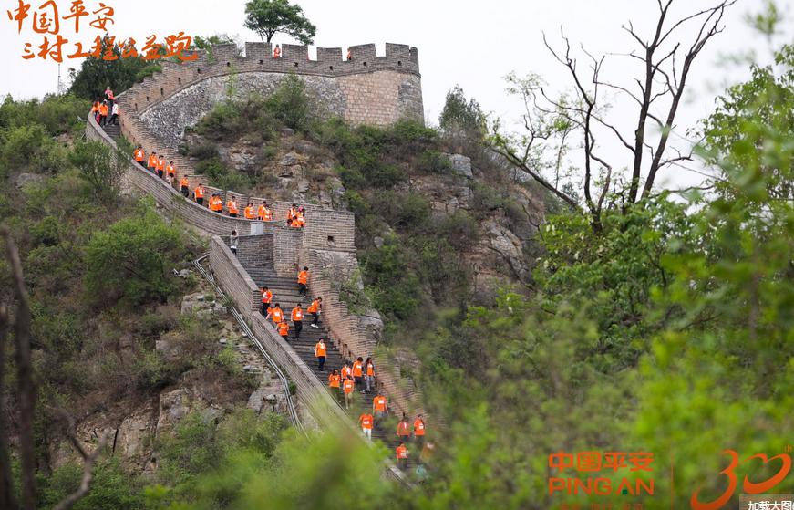 图片8